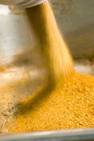 La fiebre del oro: El último oro