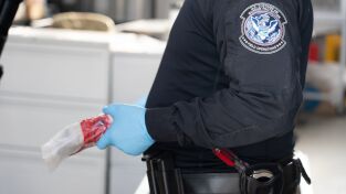 Control de aeropuertos: USA: Brigada Beagle