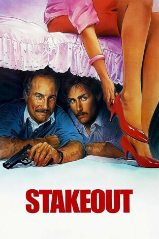 Procedimiento ilegal