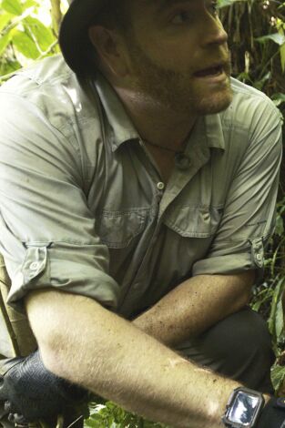 Expedición al pasado: Descubriendo la Ciudad Dorada