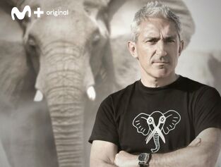 Reportajes Jon Sistiaga: Colmillos de sangre