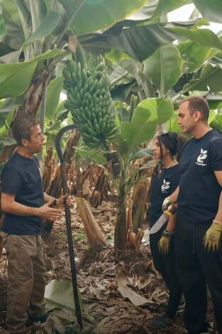 Yo soy de formación profesional: Pais Vasco/Navarra