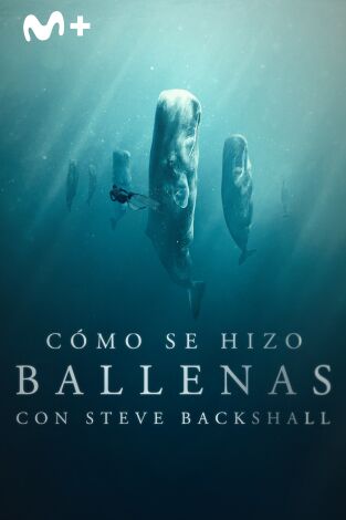 Cómo se hizo Ballenas con Steve Backshall: Cómo se hizo Viajeras