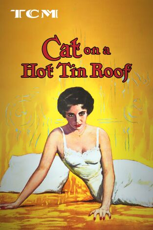 La gata sobre el tejado de zinc