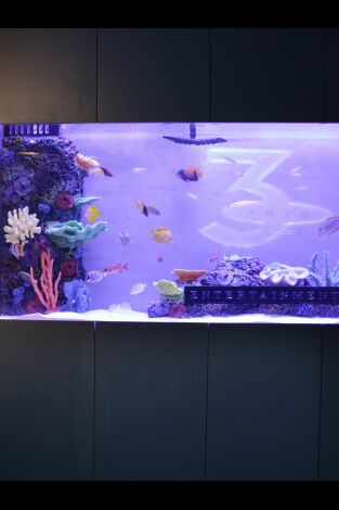 Acuarios XXL: El tanque sorpresa de Howie Mandel