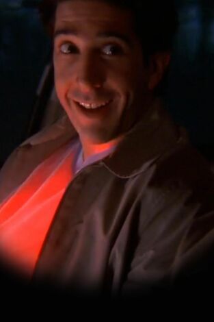 Friends (T5): Ep.20 El de la ronda policial