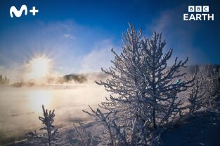 Grandes ríos: Yukón