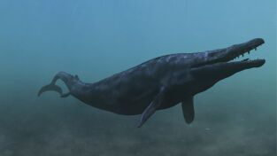 Bestias del pasado: Los secretos del T-Rex