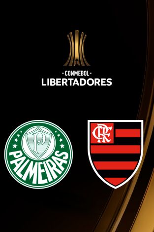 Copa Libertadores (T2025): Palmeiras - Flamengo