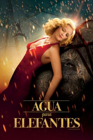 Agua para elefantes