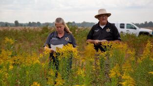 Cuerpos sin identificar: genealogía forense: El autoestopista