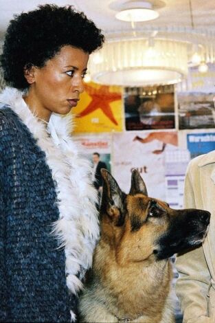 Rex, un policía diferente (T14): Ep.8 Todo en una noche