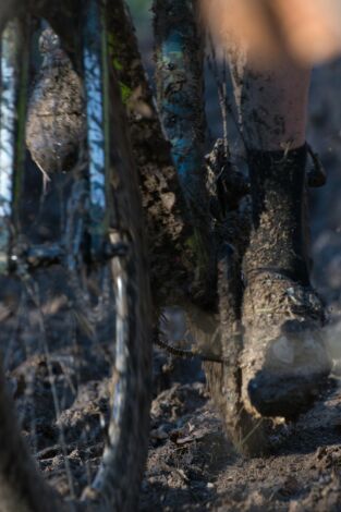 Copa del mundo de ciclocross - Flamanville (T25/26): Carrera F