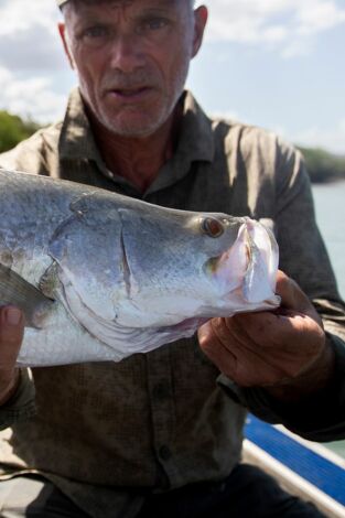 Aguas profundas con Jeremy Wade: Un invasor tóxico