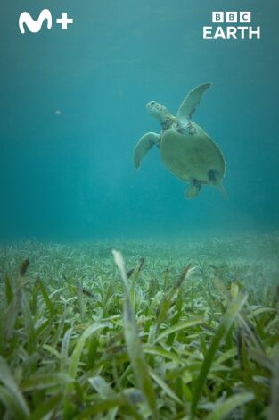 La hora de la naturaleza: Cambio