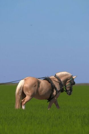 Al sur del tiempo: Almería