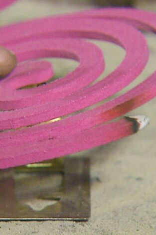 Así se hace (MAX): Bobinas para mosquitos