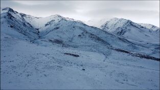 Cazar para conservar: Los grandes carneros de Nevada