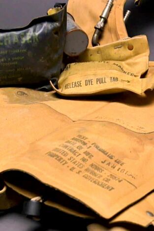 Misterios en el museo: Buscador de tiburones