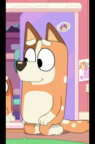 Bluey (T2): Ep.19 El espectáculo