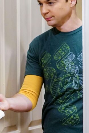 Big Bang (T11): Ep.14 La separación de la triangulación