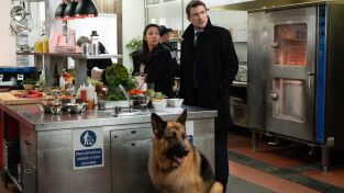 Hudson y Rex (T2): Ep.12 Para chuparse los dedos