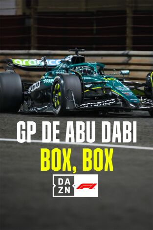 Mundial F1 - GP de Abu Dabi (T2025): Box, Box