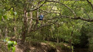 Superviviente por naturaleza: Los ríos de la vida