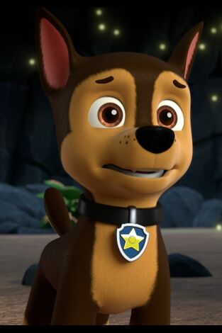 La Patrulla Canina (T10): Ep.3 La patrulla en la selva descubre la Selva Oculta