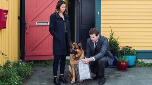 Hudson y Rex (T3): Ep.2 Caza al hombre