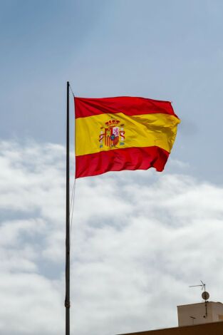 Especiales informativos: Día de la Constitución