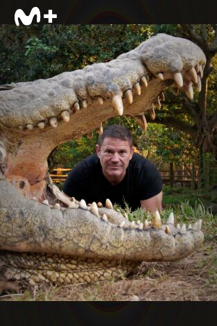Hipopótamos y cocodrilos con Steve Backshall: Cocodrilos con Steve Backshall II