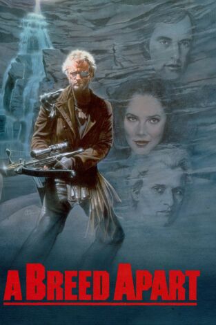 En busca del águila