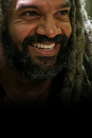 The Walking Dead (T8): Ep.4 Un tipo cualquiera