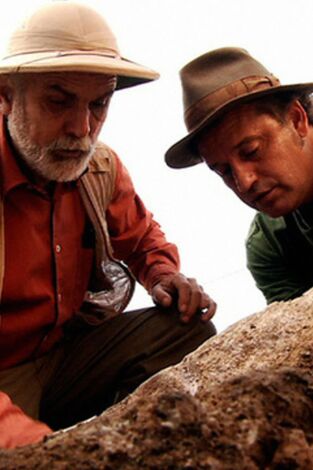 Sota terra: Abric Romaní: l'hostal dels neanderthals