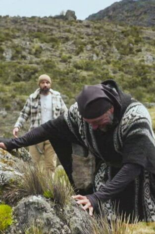 Dúo de supervivientes en Brasil: Vetas