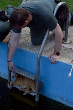 Seprona en acción: Episodio 9