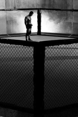 UFC 235: Jones vs Smith (T2019): Jon Jones vs Anthony Smith