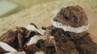 El Reino de las Momias Egipcias: El ataúd solitario