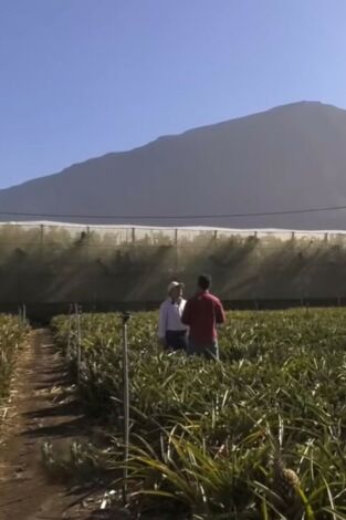 Andaluces por España: Gran Canaria