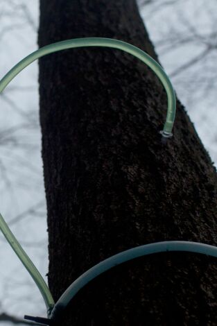 ¿Cómo lo hacen?: Episodio 17