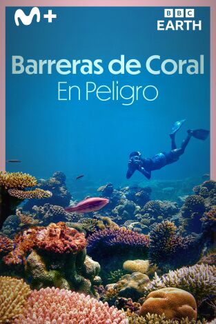 Barreras de coral en peligro