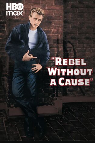 Rebelde sin causa