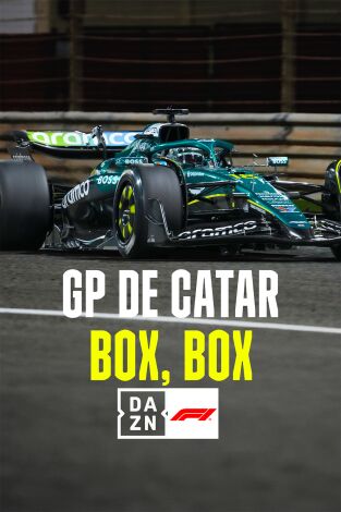 Mundial F1 - GP de Catar (T2025): Box, box