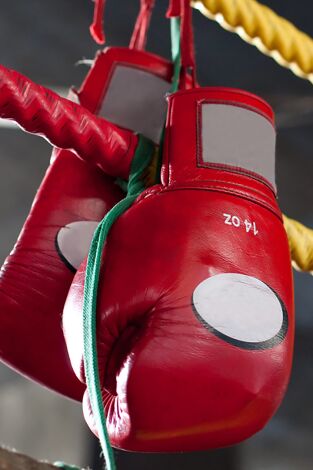 Boxeo: combate Mike Tyson vs Michael Johnson