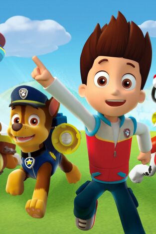 La patrulla canina Single Story (T7): Ep.16 La patrulla salva a tres pájaros perdidos