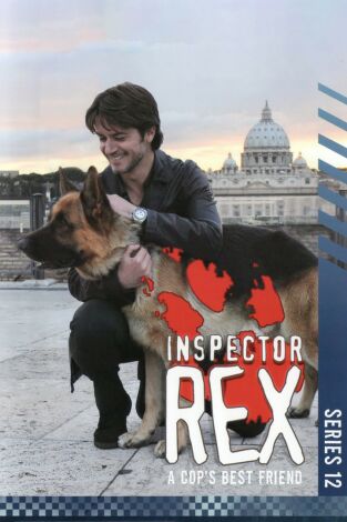 Rex, un policía diferente (T12): Ep.8 Un hombre solo