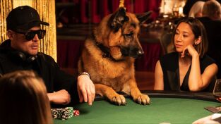 Hudson y Rex (T4): Ep.15 Pesadilla en Water Street