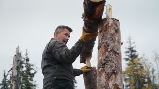Los primeros habitantes de Alaska: De la tierra