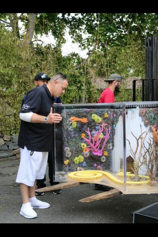 Acuarios XXL: El increíble tanque del Dr. Oz